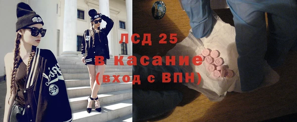 твердый Инта