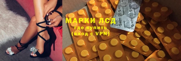 прущие грибы Инсар