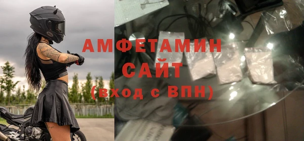 твердый Инта
