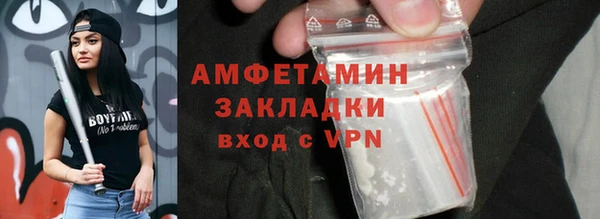прущие грибы Инсар