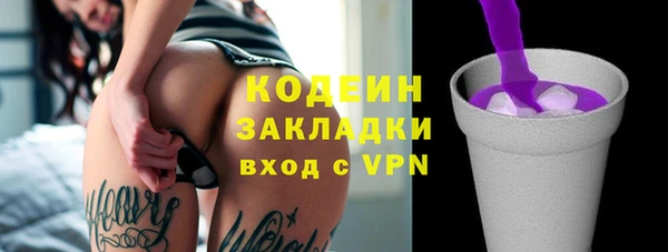 твердый Инта