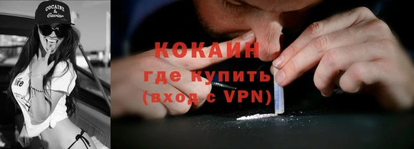прущие грибы Инсар