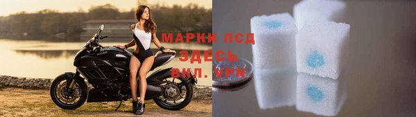 прущие грибы Инсар