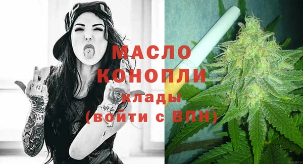 твердый Инта