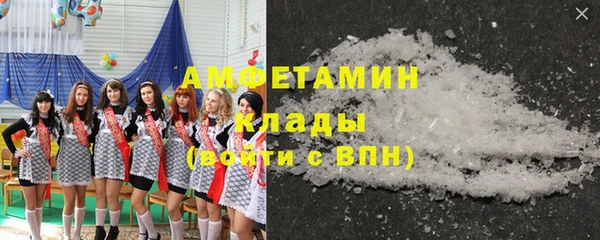 прущие грибы Инсар