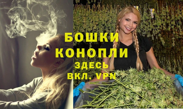 твердый Инта