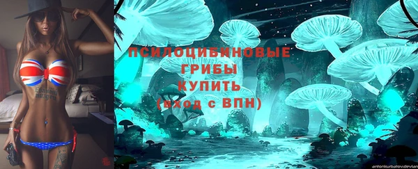прущие грибы Инсар