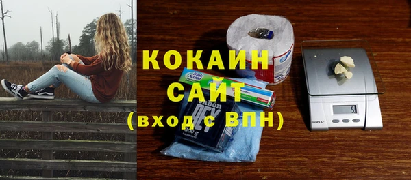 твердый Инта