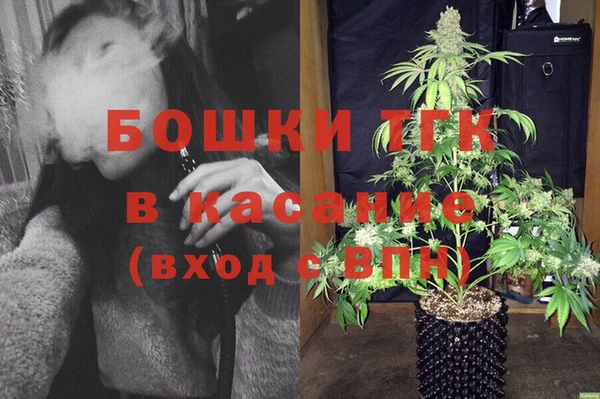 твердый Инта