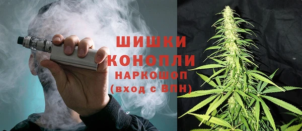 прущие грибы Инсар