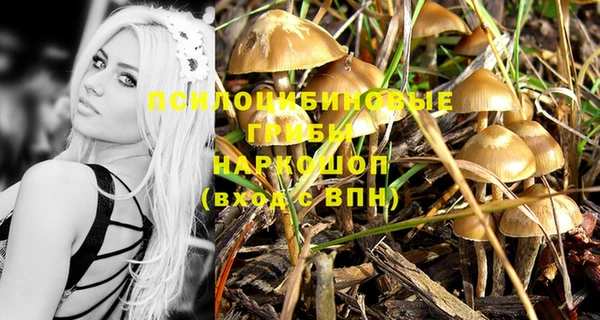 прущие грибы Инсар