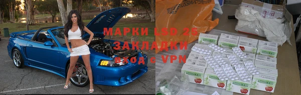 прущие грибы Инсар