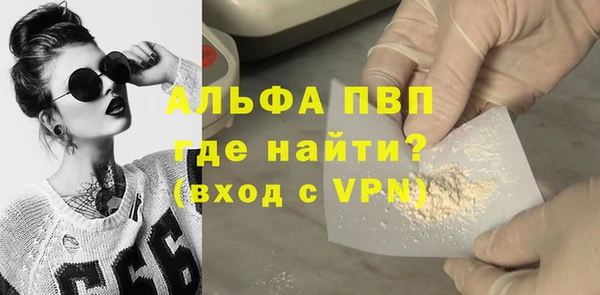 твердый Инта