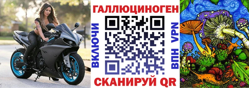 Купить  Заводоуковск  Галлюциногенные грибы мухоморы 